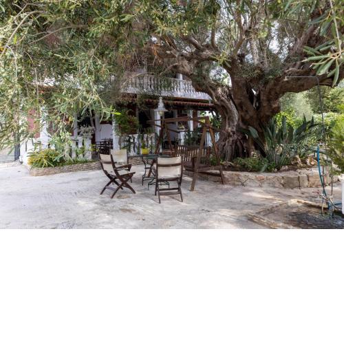 Dopia's Garden Studios