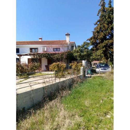 DORA'S HOUSE