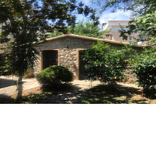 Dotty’s house