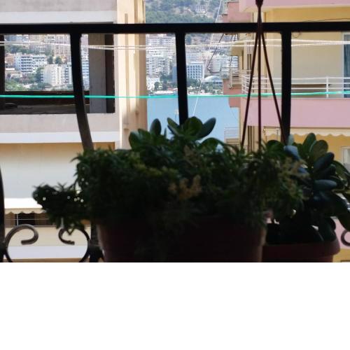 DOWN TOWN LUXURY Apartment