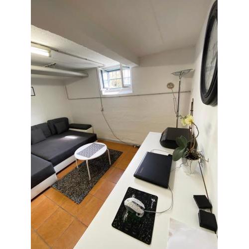 Downstairs Apartment With Garden
