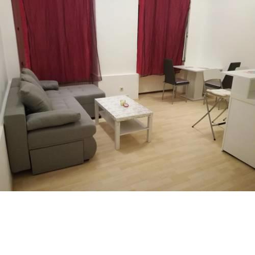Downtown Apartment Vienna Rathaus