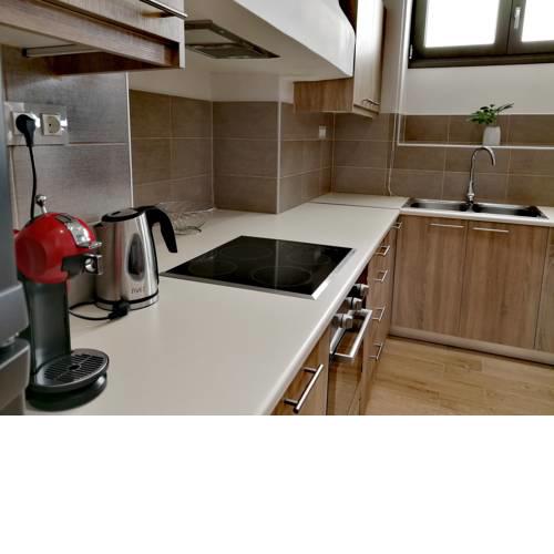 Downtown Ground Floor Apartment