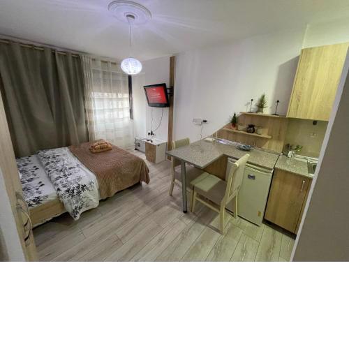 Downtown Modern Studio Apartment