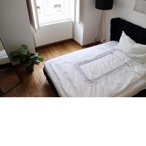 Downtown Vienna, 5*City Apartment Hofburg Palace