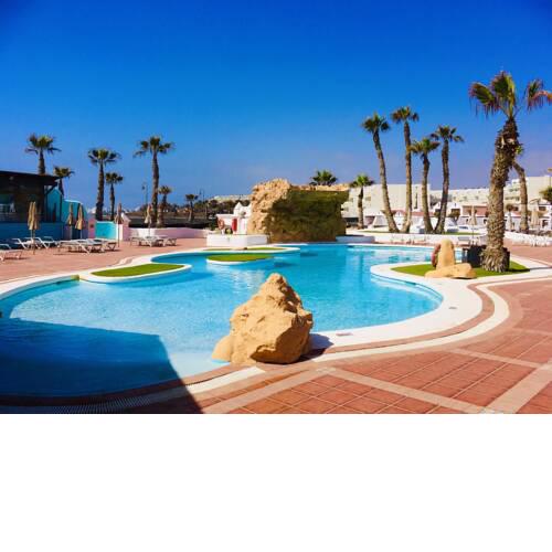 Drago Lanzarote Costa Teguise