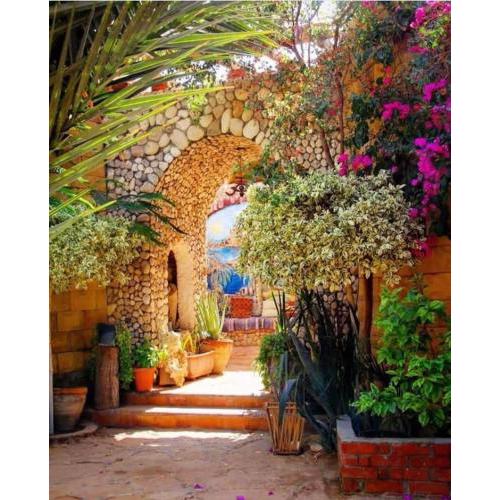 Dream Lodge Siwa دريم لودج سيوة