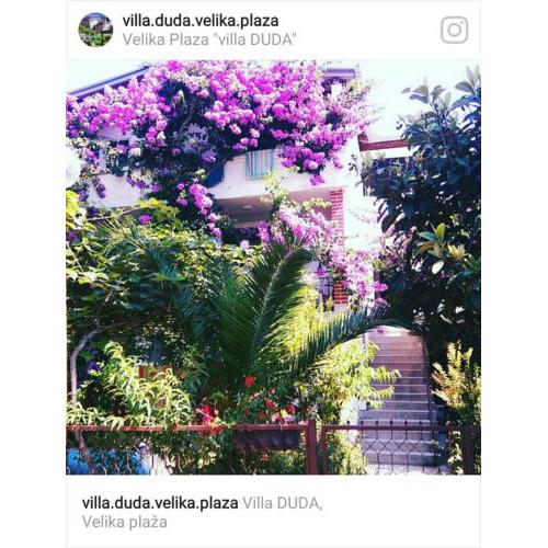 Duda Rooms