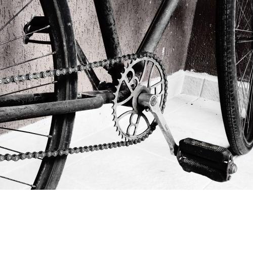 Due camere e una bici