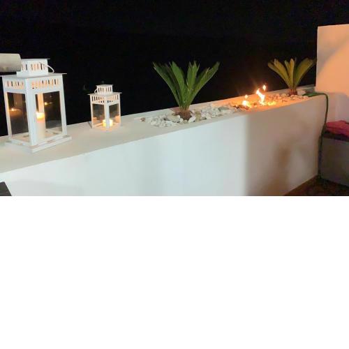 Duplex BOTANICO