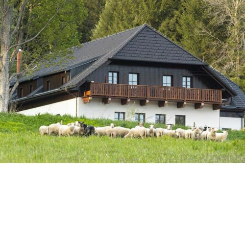 Dvůr Lískový vrch