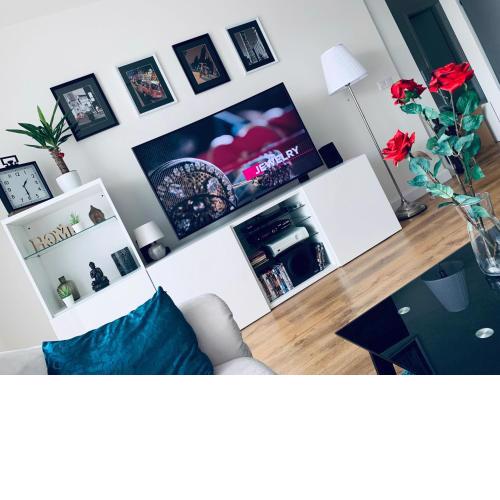 E1 Central Luxury Apt with Garage, Foodstore, Aircon, PC Screen, Netflix, Alexa Unlimited Music, Crib