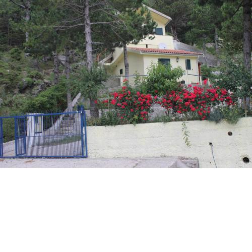 Eagle's nest