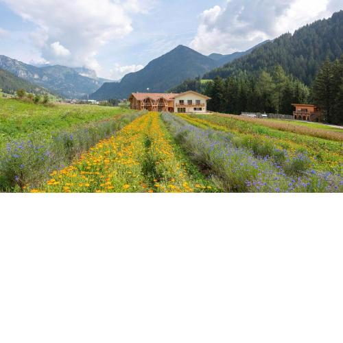 Eco-Green Fiores Agriturismo