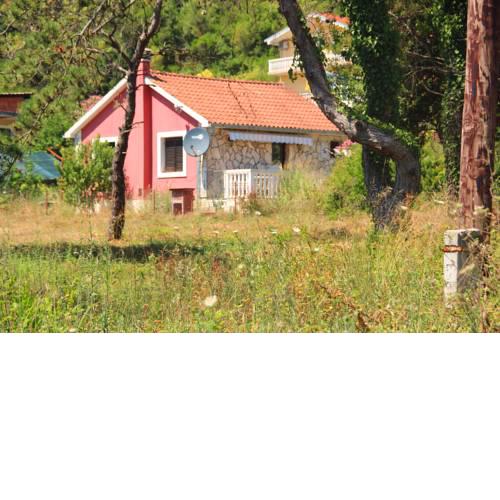 Eco Healthy House