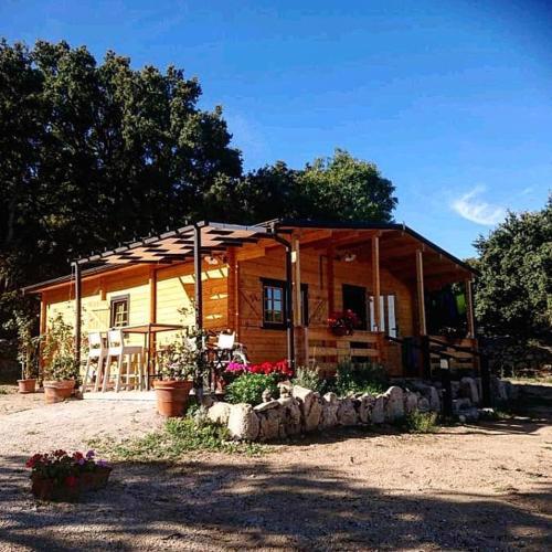 Eco Lodge nella natura con Piscina "La Grande Quercia"