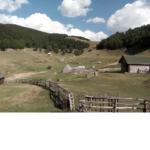 Eco Village Goles