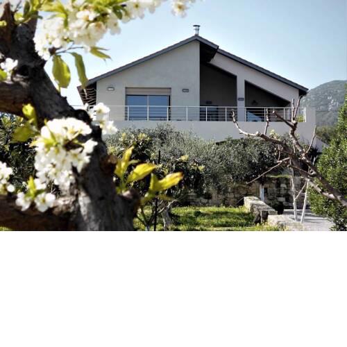 ECOvilla Belena Perfect for Nature and Wine Lovers