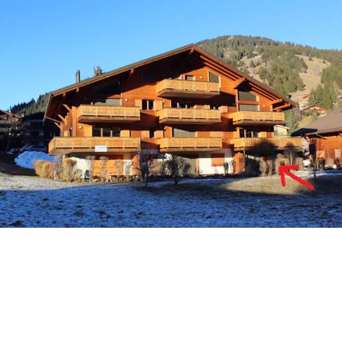Edelweiss A13