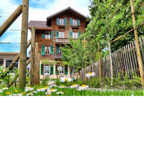Edelweiss Lodge