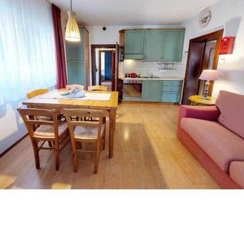 EDELWEISS ski-to-door apartment