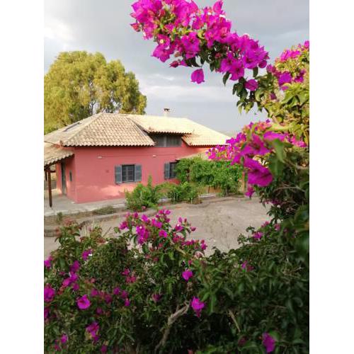 Efcaliptos cottage
