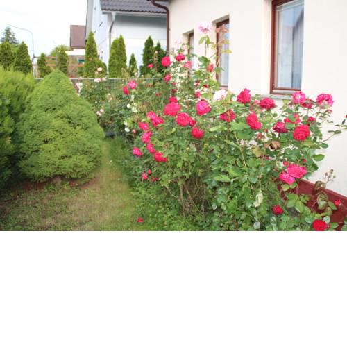 Ehngasse 31