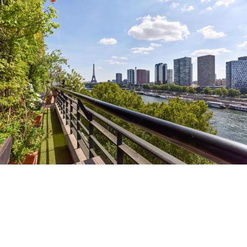 Eiffel Tower Mirabeau Bridge's Eagle sight