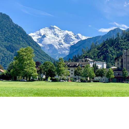 Eiger, Jungfrau, luxury garden apartment