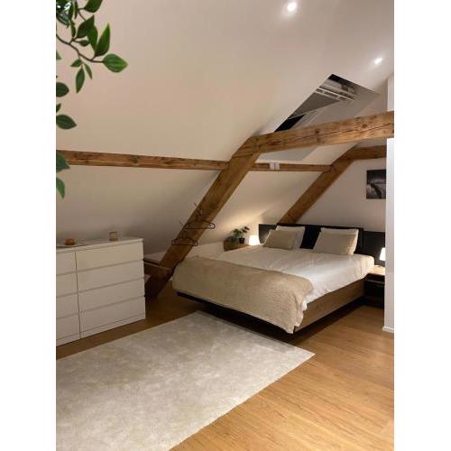 Eine schöne Wohnung an der Birs