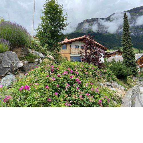El Cantun - 7 Zimmer Einfamilienhaus mit 200m2