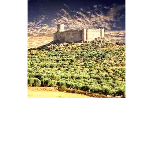 El CAPRICHO de Puebla