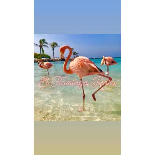 El Flamingo Rosa Cod IUN P5386