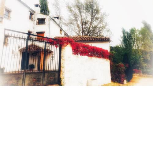 El Molino de Curro