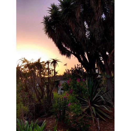 El Oasis