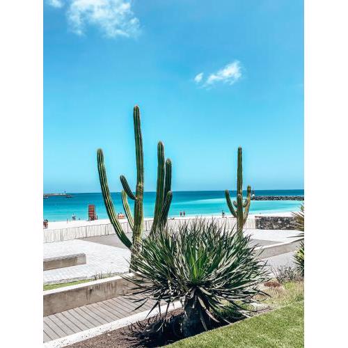 El Olivar Fuerteventura Holidays