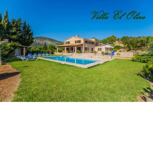 El Olivo