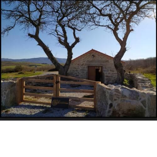 El palleiro