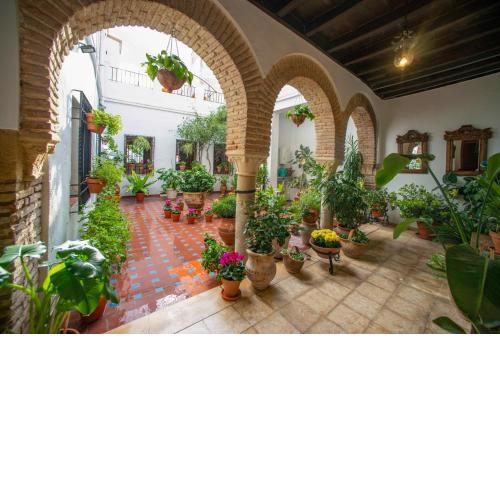 El patio de Regina