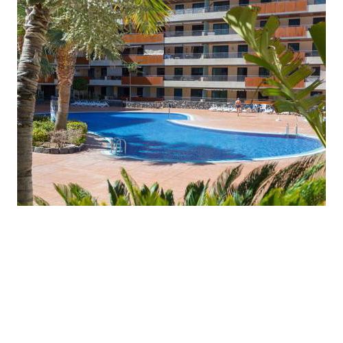 El Patron Apartment