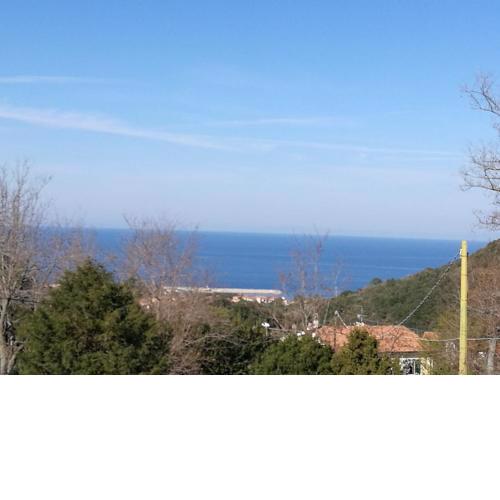Elba Holiday Houses
