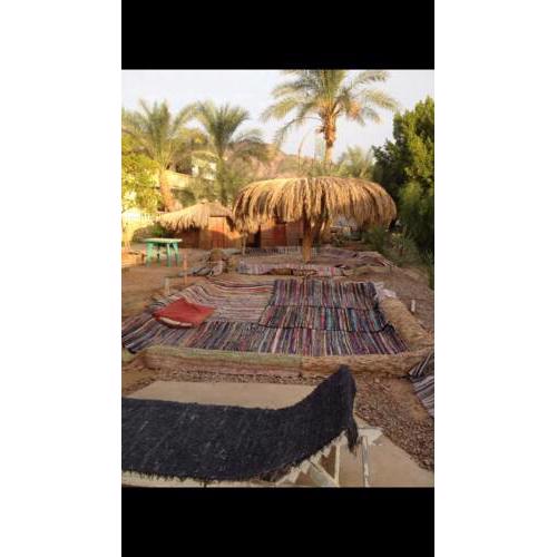 Elbadawy