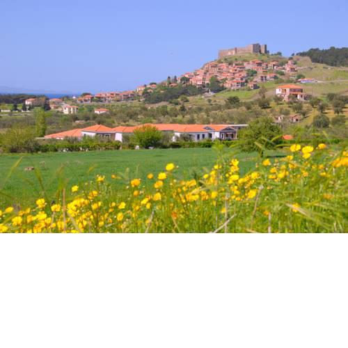 Elea Houses