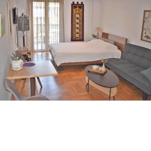 Elegant Apartment next to Transportation Hub (A)
