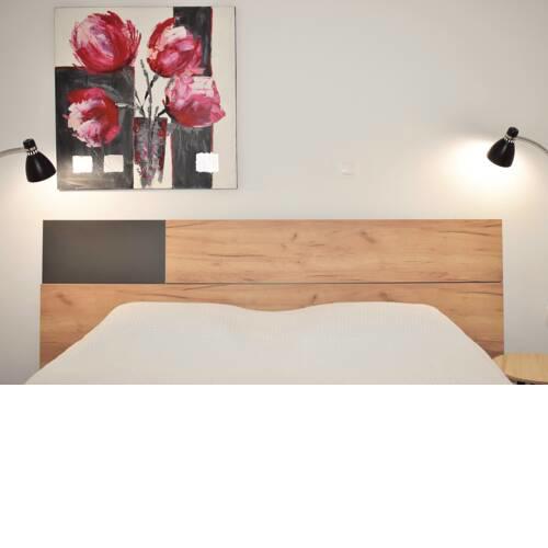 Elegant Apartment next to Transportation Hub (B)