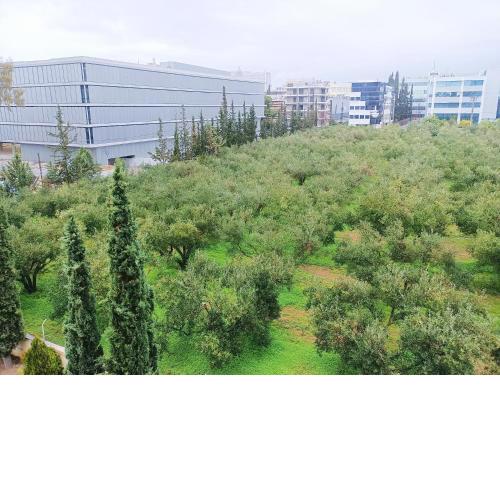 Elegant apartment Suite in Marousi with View and Private Parking