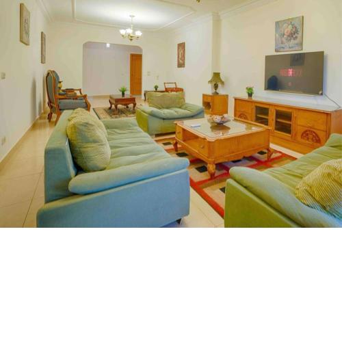 Elegant Bright & Cozy Apartment near Downtown Mall