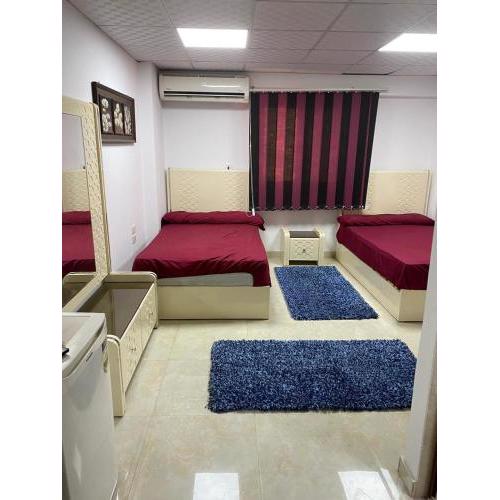 Elegant Furnished 1 Bedroom apartment in Giza