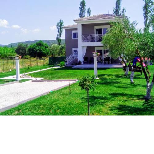 Elegant house