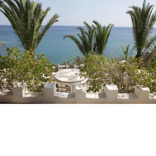 Elena's beach garden